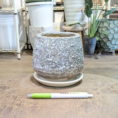 【 664 】内径 約9cm 高さ 約11cm (受皿付・鉢底穴あり)