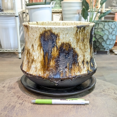 ( 136 ) 内径 約17cm 高さ 約17cm (受皿付・鉢底穴あり)