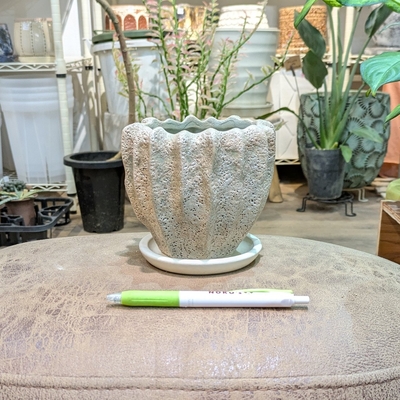 【 670 】内径 約9cm 高さ 約11cm (受皿付・鉢底穴あり)