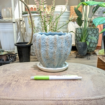 【 671 】内径 約9cm 高さ 約11cm (受皿付・鉢底穴あり)