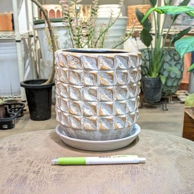 【 675 】内径 約12cm 高さ 約14cm (受皿付・鉢底穴あり)