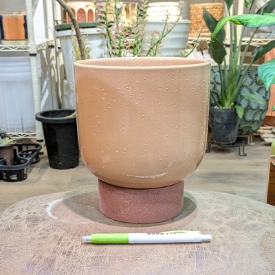 ( 137 ) 内径 約15cm 高さ 約15cm (受皿付・鉢底穴あり)