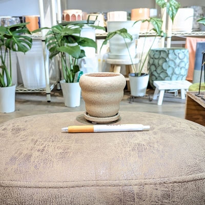 《 333 》内径 約6cm 高さ 約7.5cm (受皿付・鉢底穴あり)