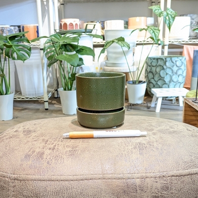 《 334 》内径 約8.5cm 高さ 約8.5cm (受皿付・鉢底穴あり)