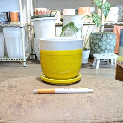 【 683 】内径 約10.5cm 高さ 約10.5cm (受皿付・鉢底穴あり)