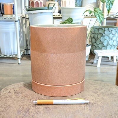 ( 139 ) 内径 約15cm 高さ 約16cm (受皿付・鉢底穴あり)