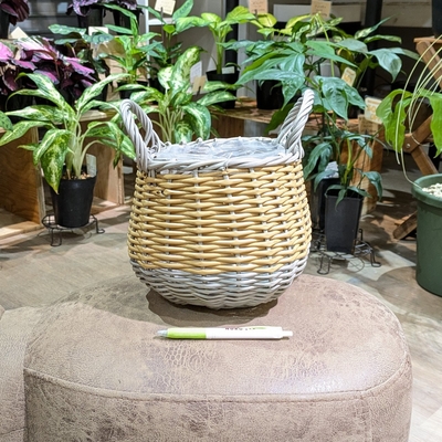 〖 287 〗 内径 約15cm 高さ 約17cm 全高(取っ手込み) 約24cm 