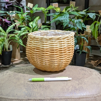 〖 288 〗 内径 約14cm 高さ 約14cm