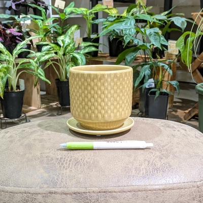 【 694 】内径 約10cm 高さ 約10cm (受皿付・鉢底穴あり)