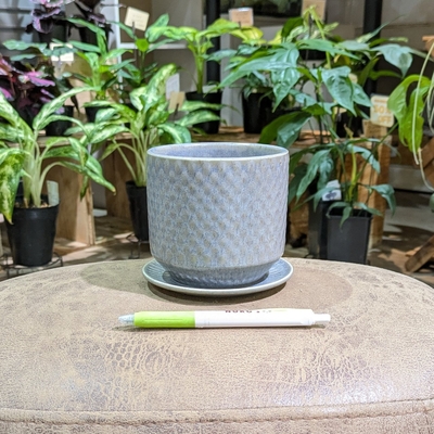 【 695 】内径 約10cm 高さ 約10cm (受皿付・鉢底穴あり)