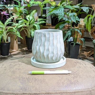 【 696 】内径 約9cm 高さ 約11cm (受皿付・鉢底穴あり)