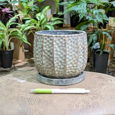 【 701 】内径 約12.5cm 高さ 約12cm (受皿付・鉢底穴あり)