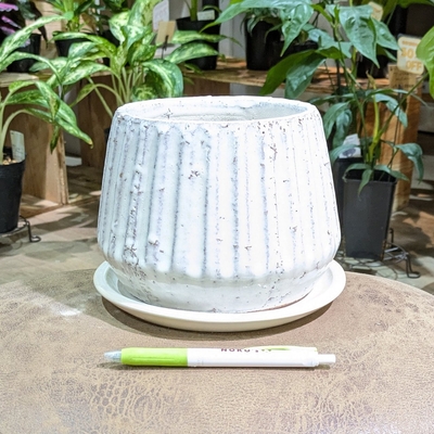 【 703 】内径 約12cm 高さ 約13cm (受皿付・鉢底穴あり)