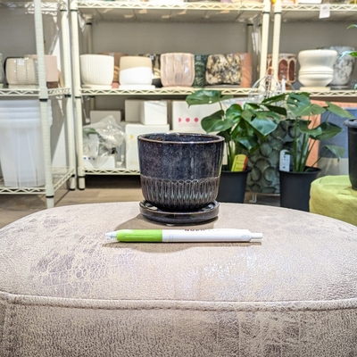 《 338 》内径 約8cm 高さ 約7.5cm (受皿付・鉢底穴あり)