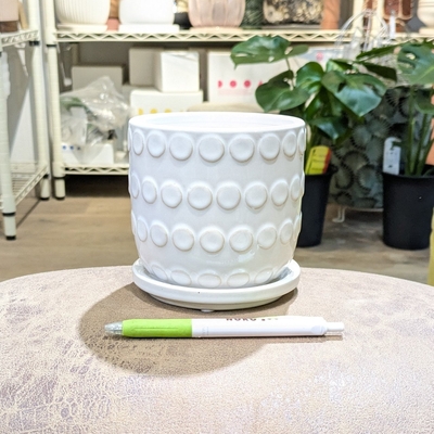 【 710 】内径 約10cm 高さ 約10.5cm (受皿付・鉢底穴あり)