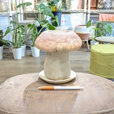 《 342 》【容器部分のみ：内径 約7.5cm 高さ 約6cm】全高 約15.5cm 幅 約15.5cm (受皿付・鉢底穴あり)