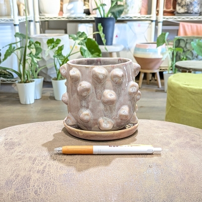 【 722 】内径 約9cm 高さ 約10cm (受皿付・鉢底穴あり)