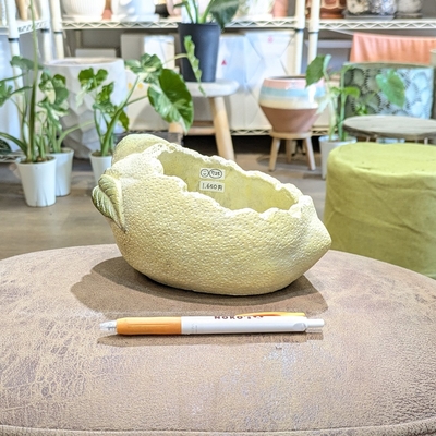 【 725 】内径 約8 &times; 11cm 高さ 約7～11cm (受皿無し・鉢底穴あり)