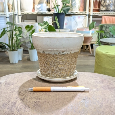 【 730 】内径 約12.5cm 高さ 約11cm (受皿付・鉢底穴あり)