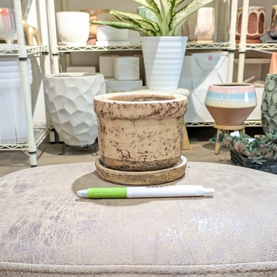 《 344 》内径 約8cm 高さ 約8cm (受皿付・鉢底穴あり)