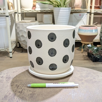 【 744 】内径 約14cm 高さ 約14cm (受皿付・鉢底穴あり)