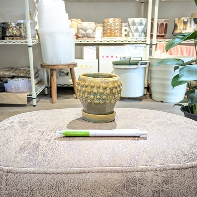 《 348 》内径 約6cm 高さ 約8cm (受皿付・鉢底穴あり)