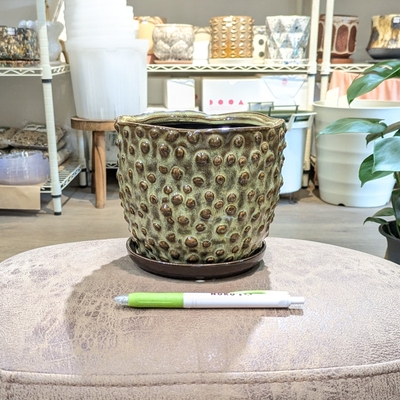 【 764 】内径 約12cm 高さ 約12cm (受皿付・鉢底穴あり)