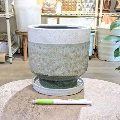 ( 145 ) 内径 約15cm 高さ 約16cm (受皿付・鉢底穴あり)