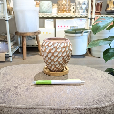 《 351 》内径 約6cm 高さ 約10cm (受皿付・鉢底穴あり)