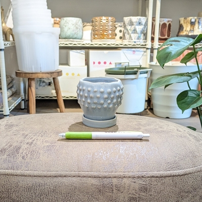 《 355 》内径 約6cm 高さ 約8cm (受皿付・鉢底穴あり)