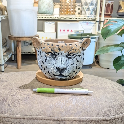 【 777 】内径 約9.5cm 高さ 約9.5cm (受皿付・鉢底穴あり)