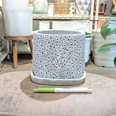 【 787 】内径 約12cm 高さ 約12cm (受皿付・鉢底穴あり)