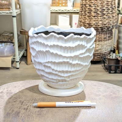 ( 155 ) 内径 約15cm 高さ 約14cm (受皿付・鉢底穴あり)