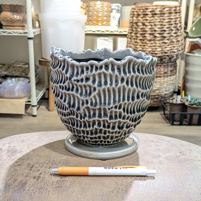 ( 156 ) 内径 約15cm 高さ 約14cm (受皿付・鉢底穴あり)