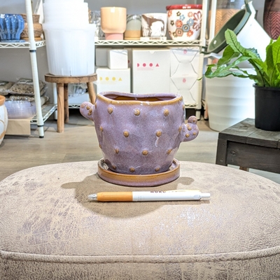 【 836 】内径 約9.5cm 高さ 約9cm (受皿付・鉢底穴あり)