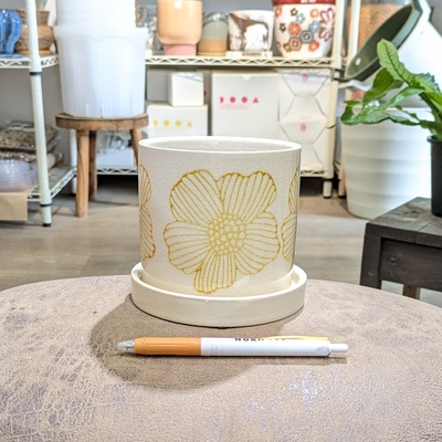 ※ 受皿欠けありのため10％OFF ※【 848 】内径 約10.5cm 高さ 約10.5cm (受皿付・鉢底穴あり)