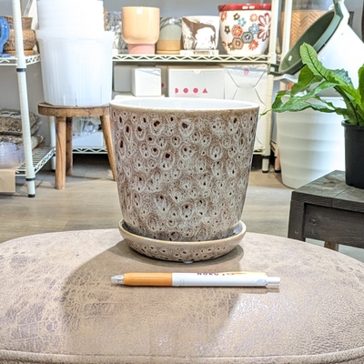 【 850 】内径 約13cm 高さ 約13cm (受皿付・鉢底穴あり)