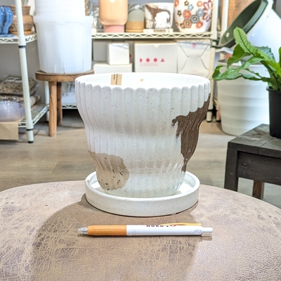 【 854 】内径 約14cm 高さ 約14cm (受皿付・鉢底穴あり)