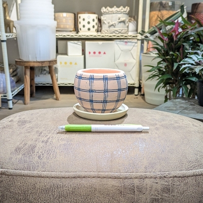 《 389 》内径 約7cm 高さ 約8cm (受皿付・鉢底穴あり)