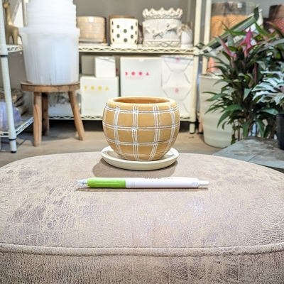 《 391 》内径 約7cm 高さ 約8cm (受皿付・鉢底穴あり)