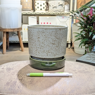 【 867 】内径 約13cm 高さ 約13cm (受皿付・鉢底穴あり)