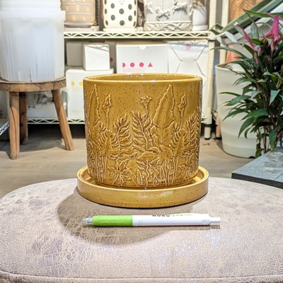 【 871 】内径 約13cm 高さ 約12.5cm (受皿付・鉢底穴あり)