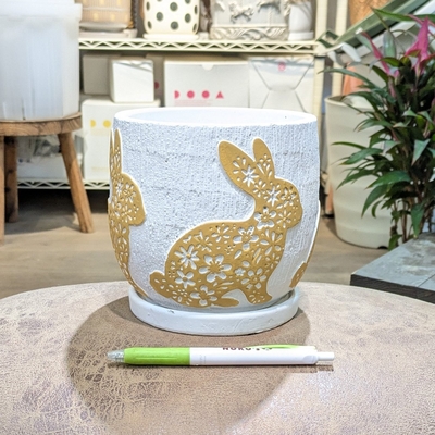 【 872 】内径 約12cm 高さ 約13cm (受皿付・鉢底穴あり)