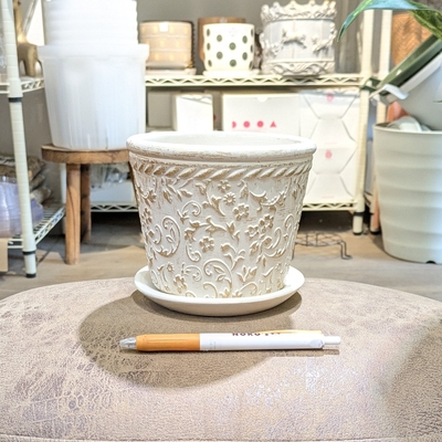 【 879 】内径 約12cm 高さ 約11cm (受皿付・鉢底穴あり)