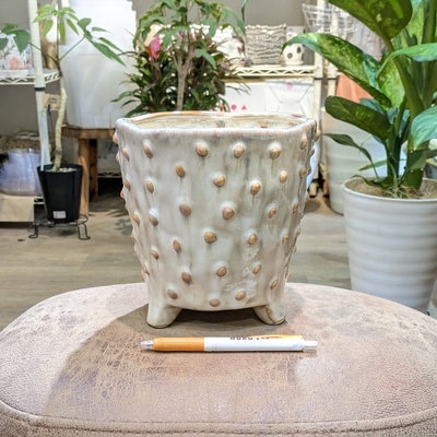 【鉢カバー】( 168 )【容器部分のみ：内径 約15cm 高さ 約15cm】全高 約18cm (受皿無し・鉢底穴無し)