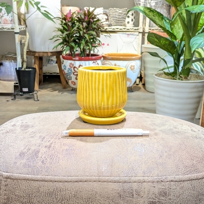 《 399 》内径 約7.5cm 高さ 約8.5cm (受皿付・鉢底穴あり)