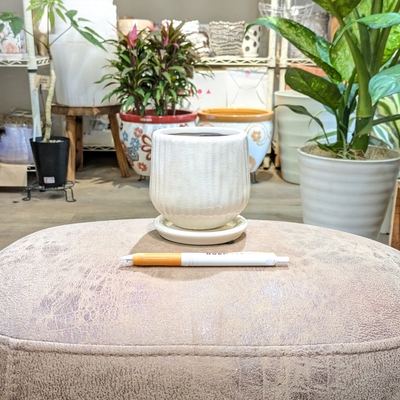 《 400 》内径 約7.5cm 高さ 約8.5cm (受皿付・鉢底穴あり)