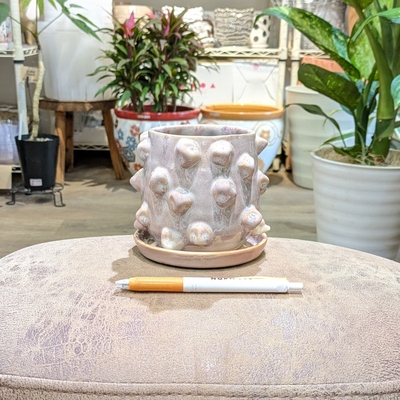 《 401 》内径 約8cm 高さ 約10cm (受皿付・鉢底穴あり)