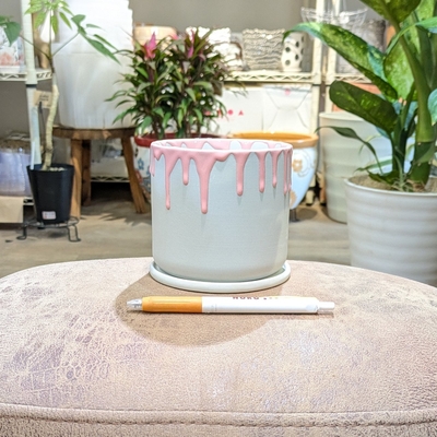 【 890 】内径 約10cm 高さ 約10cm (受皿付・鉢底穴あり)