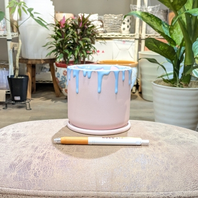 【 891 】内径 約10cm 高さ 約10cm (受皿付・鉢底穴あり)